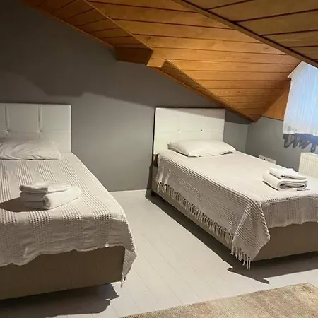6+2 Isitmali Havuzlu Jakuzili * Sapanca